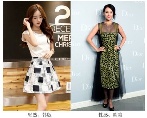 服裝版型全解析 從廓形到細節，服裝人必備的專業指南